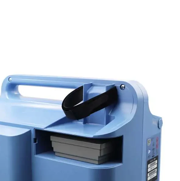 Philips Everflo Inlet Filter - Image 2